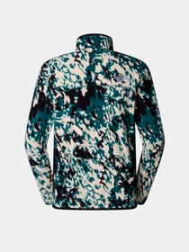 Худи и свитшоты The North Face модель NF0A858Z65S1 Фото
