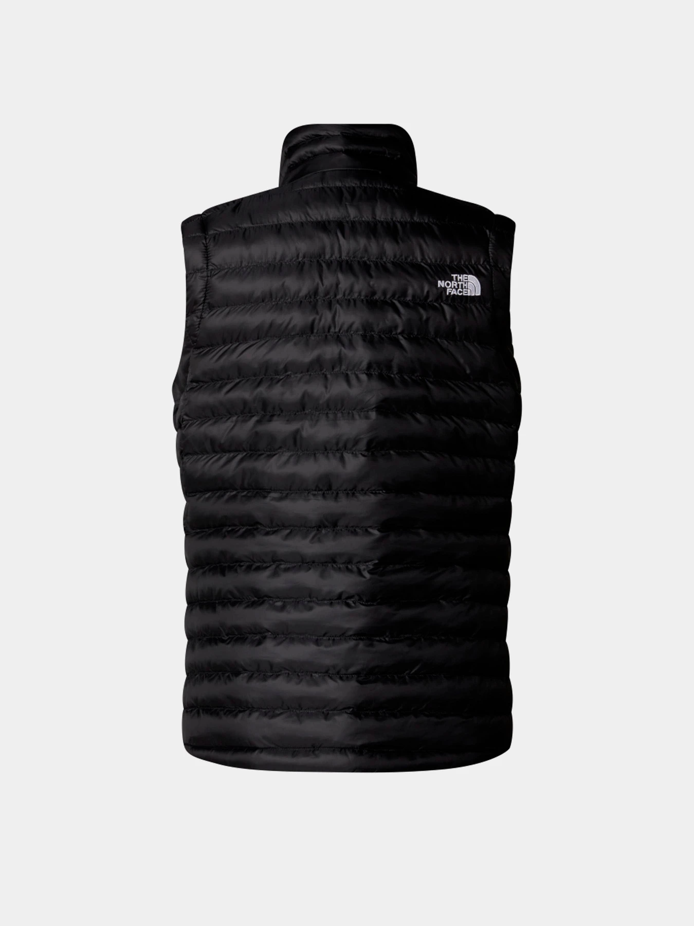 Куртки и дубленки The North Face модель NF0A85AI4H01 Куртки и дубленки The North Face модель NF0A85AI4H01 Фото