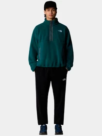 Худи и свитшоты The North Face модель NF0A88XR6GI1 Фото