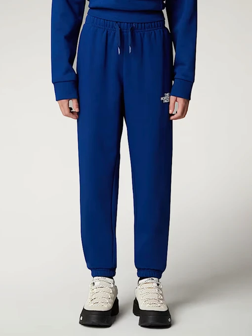 Брюки The North Face модель NF0A8BHTD1R1 Фото