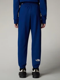 Брюки The North Face модель NF0A8BHTD1R1 Фото