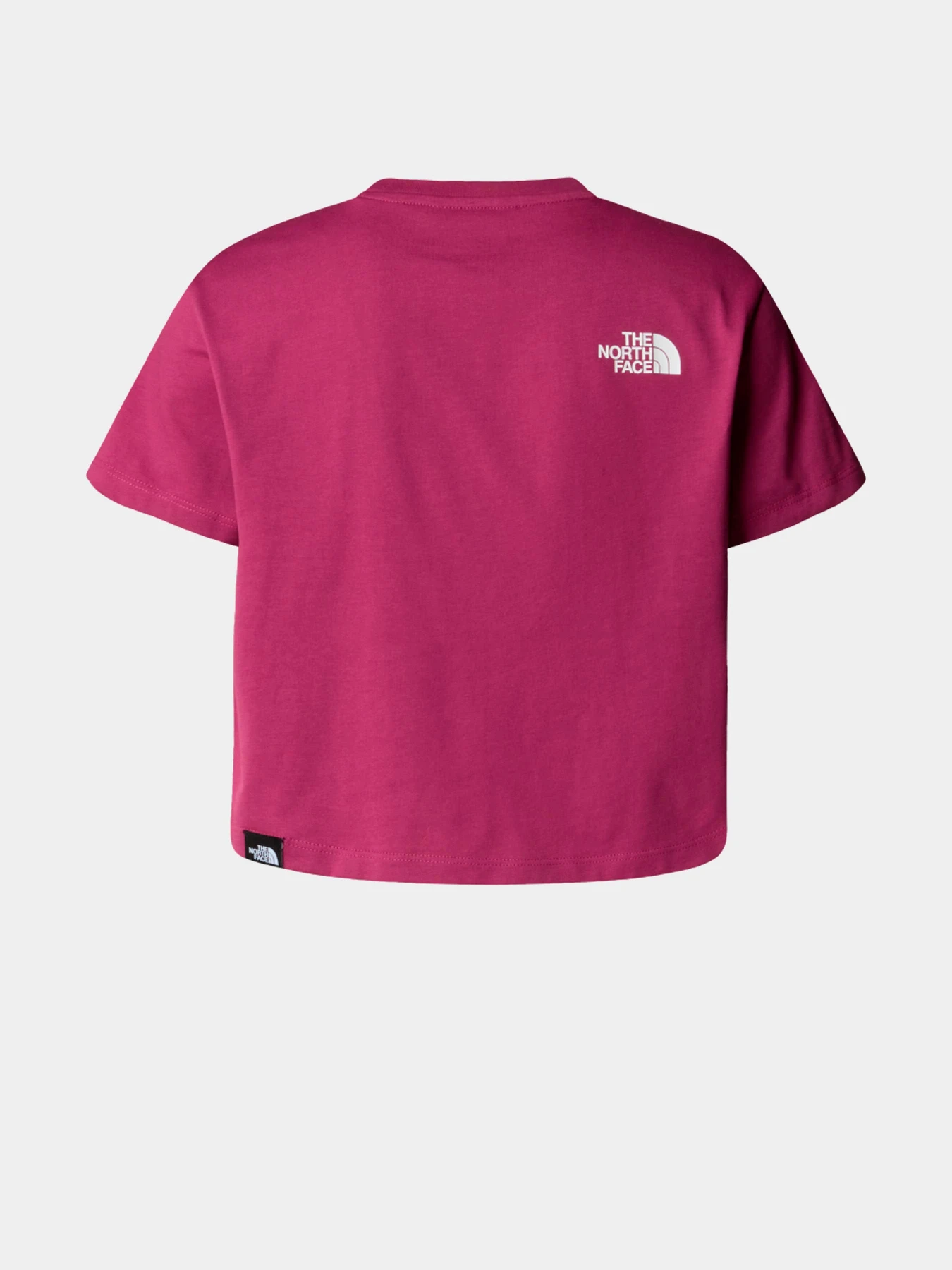 Футболки и поло The North Face модель NF0A8DRQ6EO1 Футболки и поло The North Face модель NF0A8DRQ6EO1 Фото