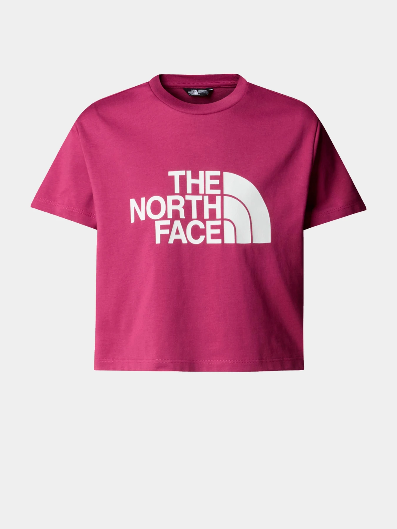 Футболки и поло The North Face модель NF0A8DRQ6EO1 Футболки и поло The North Face модель NF0A8DRQ6EO1 Фото