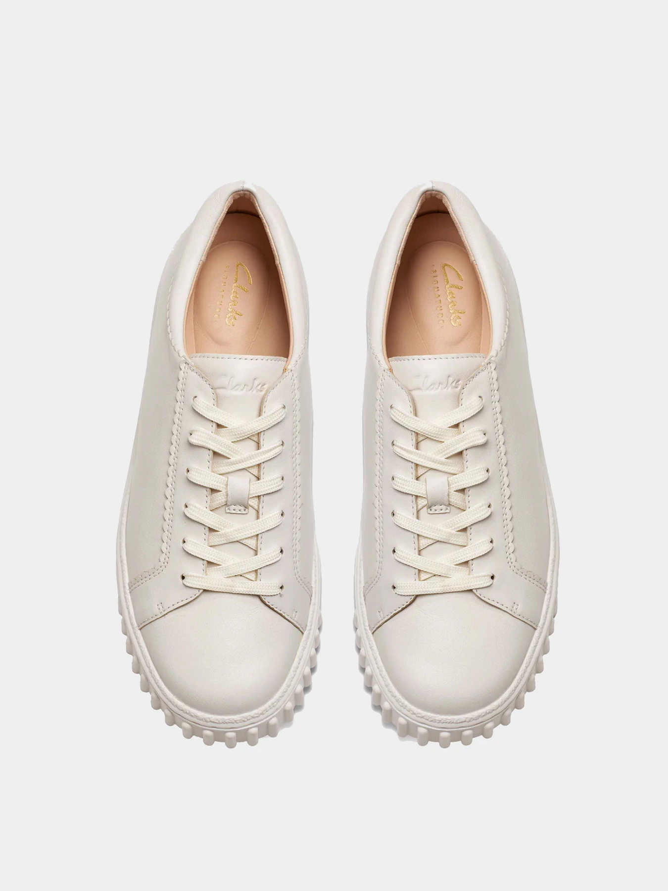 Кеды Clarks модель 26177817 Кеды Clarks модель 26177817 Фото