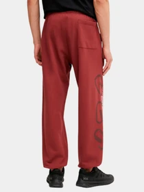 Брюки The North Face модель NF0A8C3W0VO1 Фото