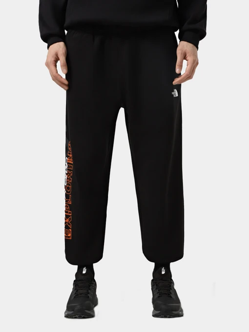Брюки The North Face модель NF0A8C3WJK31 Фото