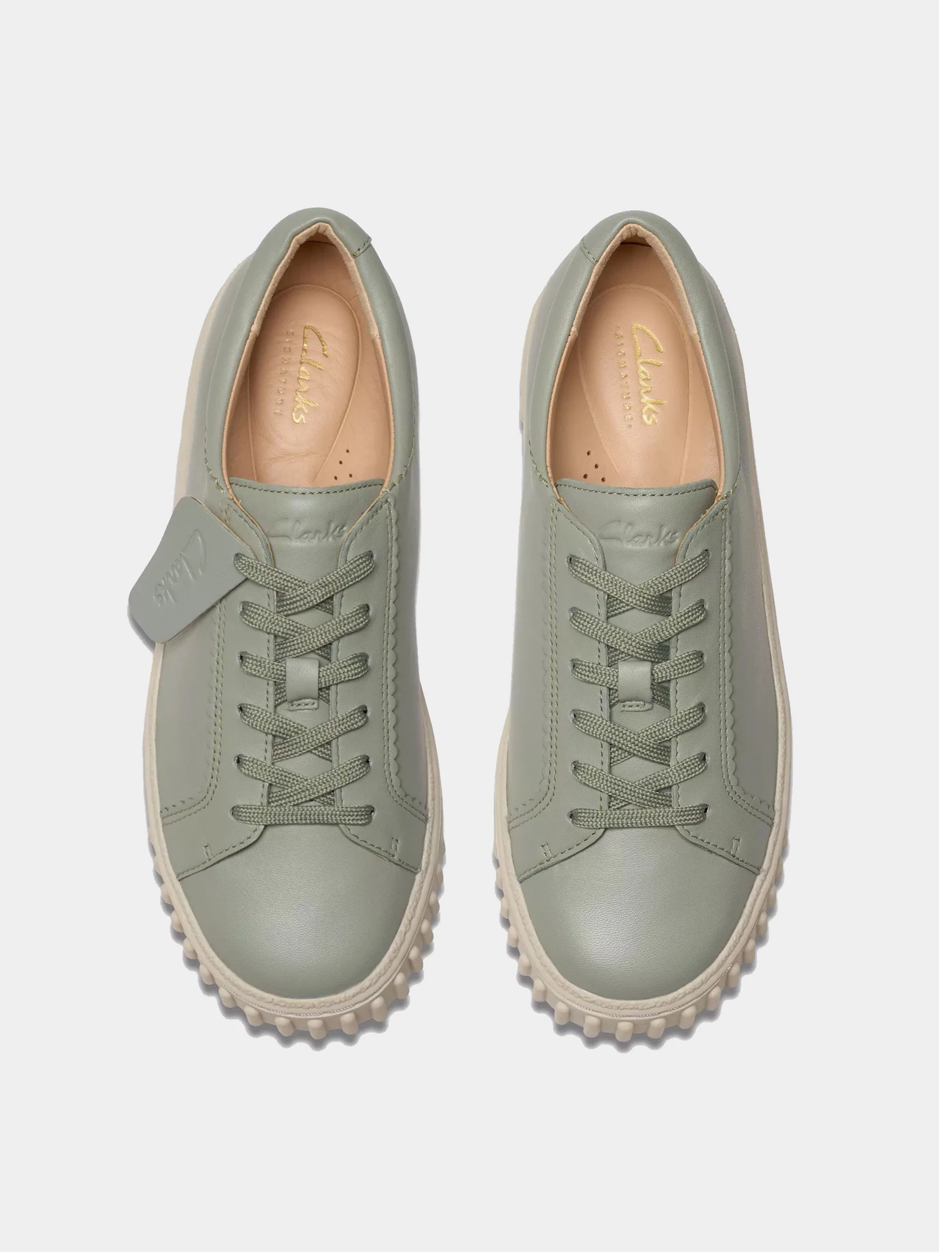 Кеды Clarks модель 26181208 Кеды Clarks модель 26181208 Фото