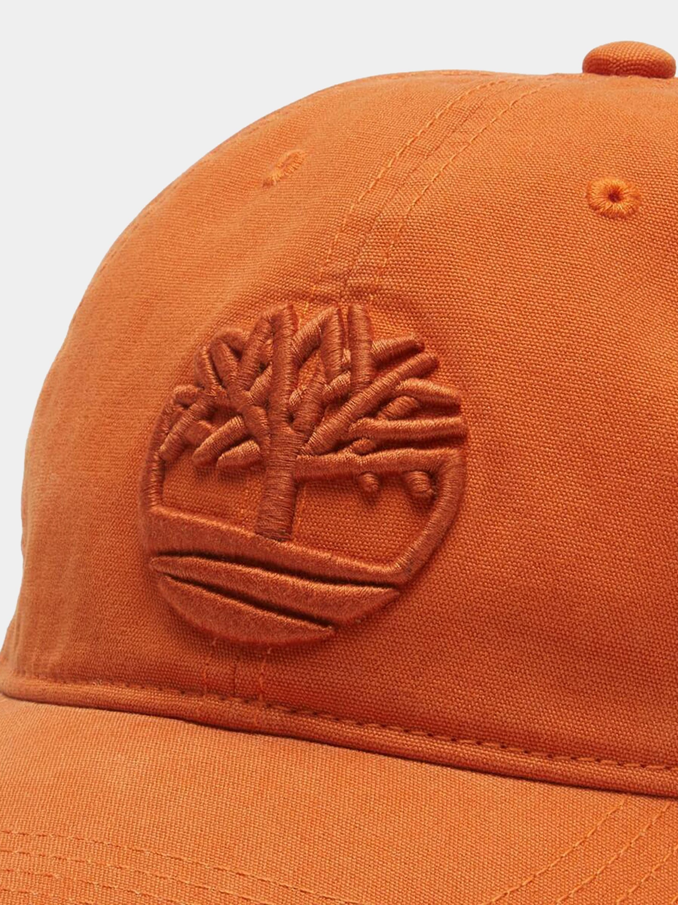 Шапки и кепки Timberland модель TB0A61UJ850 Шапки и кепки Timberland модель TB0A61UJ850 Фото