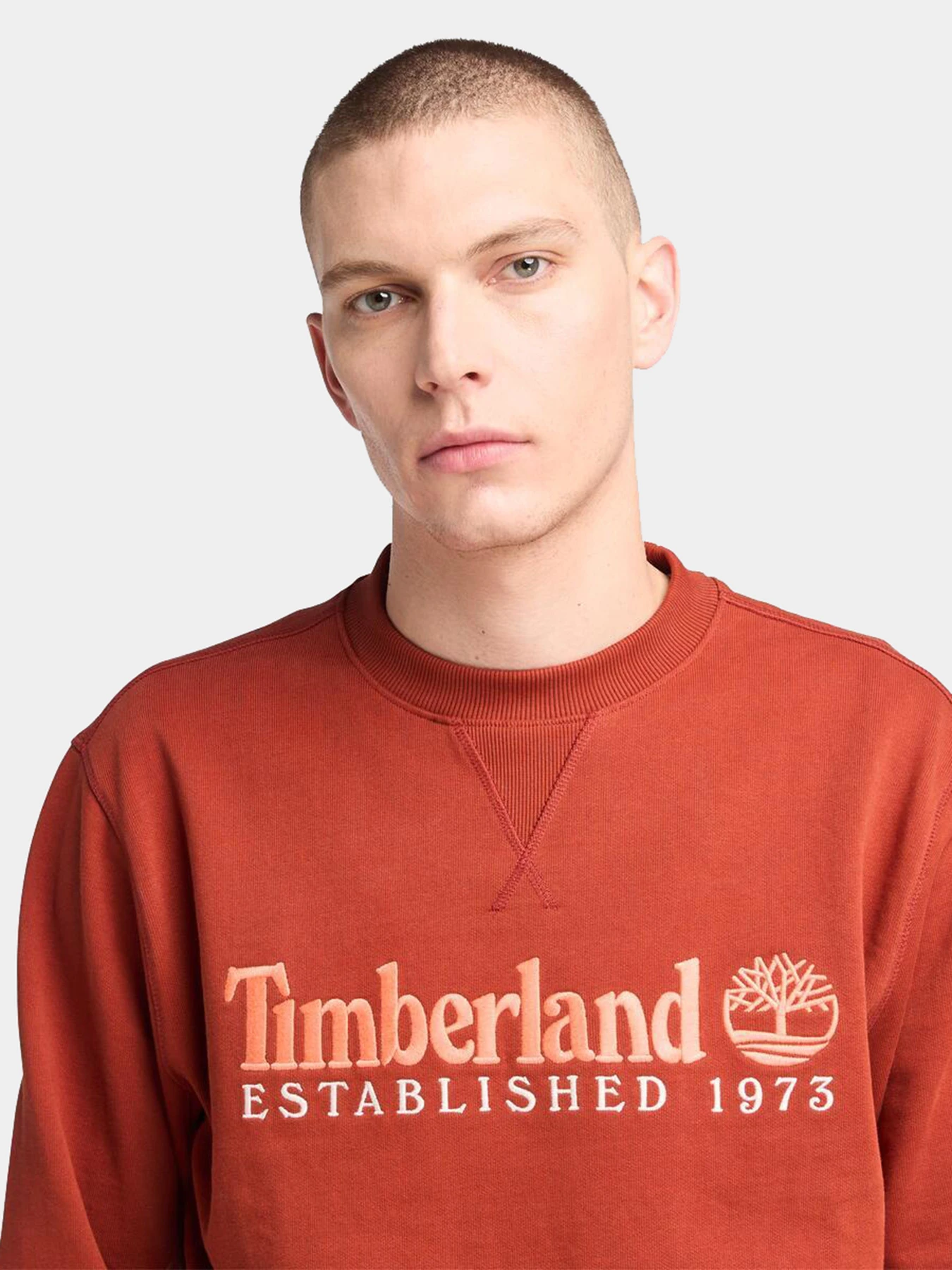 Худи и свитшоты Timberland модель TB0A2FEQEOD Худи и свитшоты Timberland модель TB0A2FEQEOD Фото