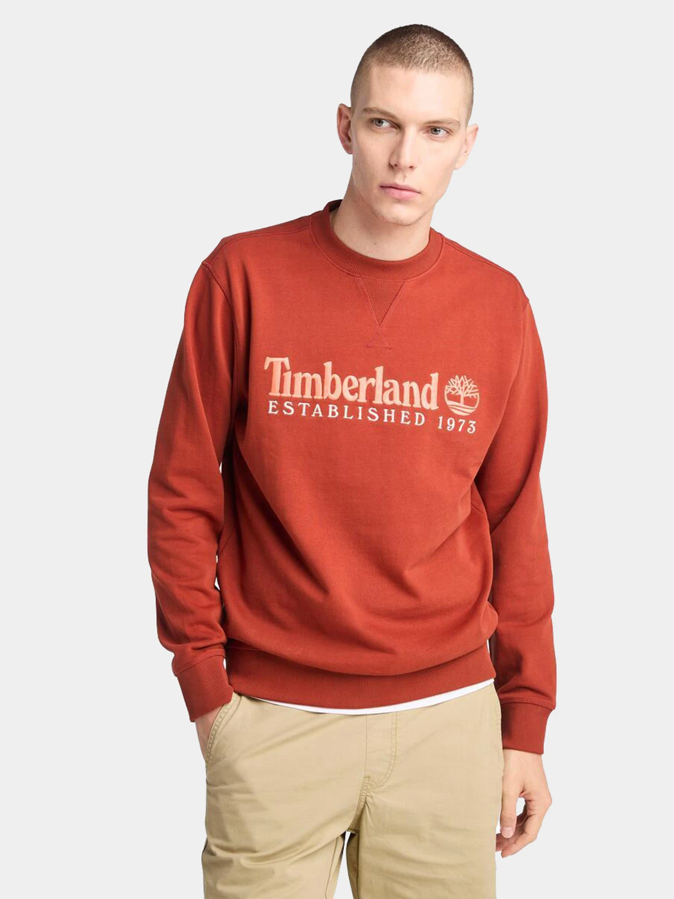 Худи и свитшоты Timberland модель TB0A2FEQEOD Худи и свитшоты Timberland модель TB0A2FEQEOD Фото