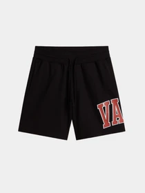 Шорты Vans модель VN000M3DBLK1 Фото