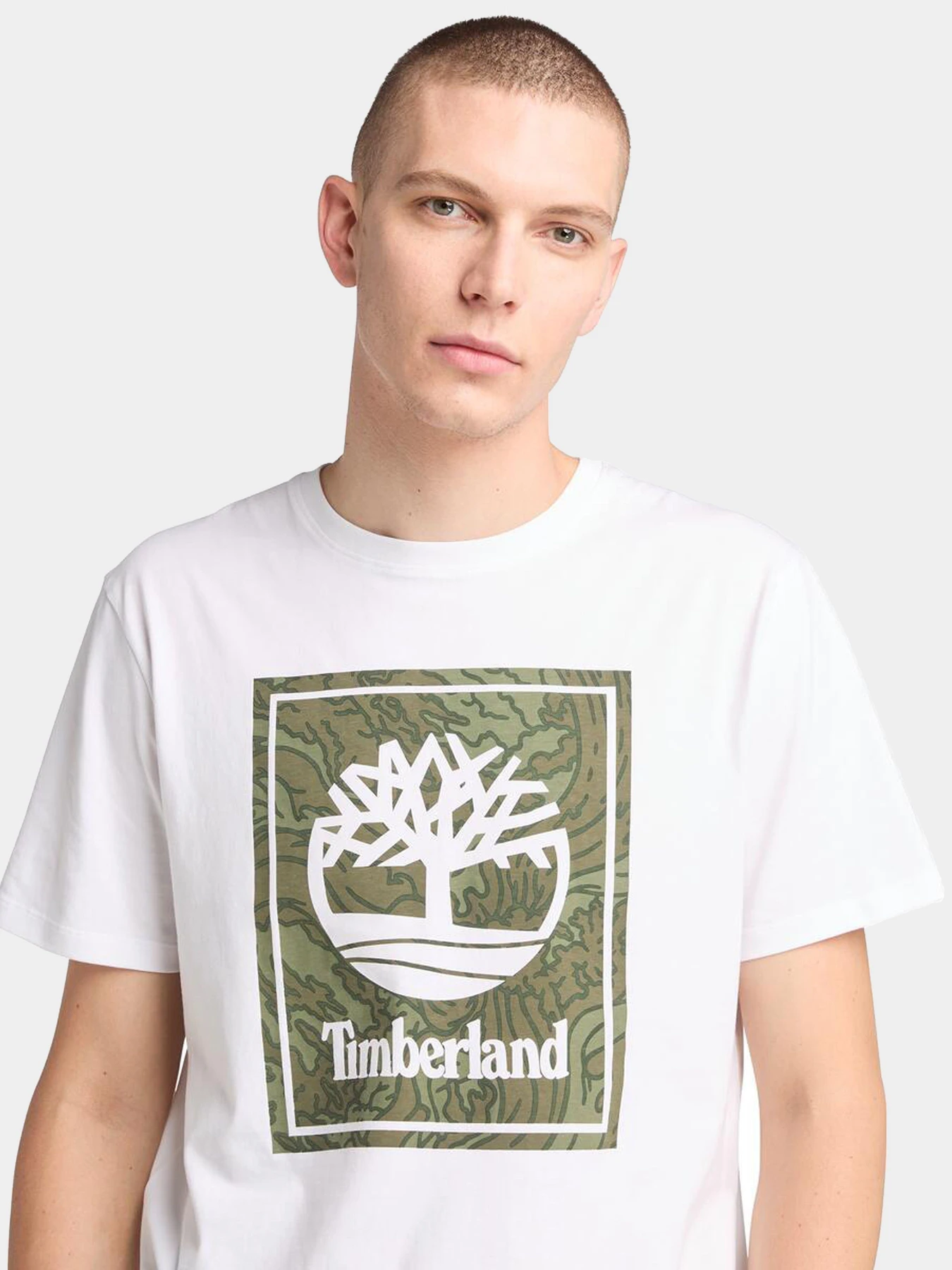 Футболки и поло Timberland модель TB0A6DUD100 Футболки и поло Timberland модель TB0A6DUD100 Фото