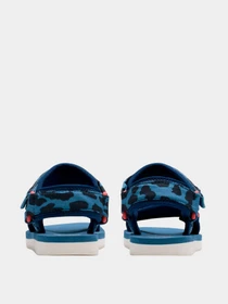 Сандалии Clarks модель 26181072 Фото