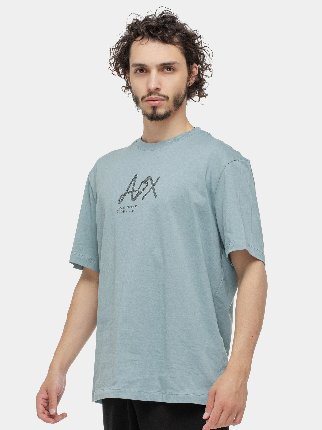 Футболки и поло Armani Exchange модель XM000566-AF10334-U9212 Футболки и поло Armani Exchange модель XM000566-AF10334-U9212 Фото