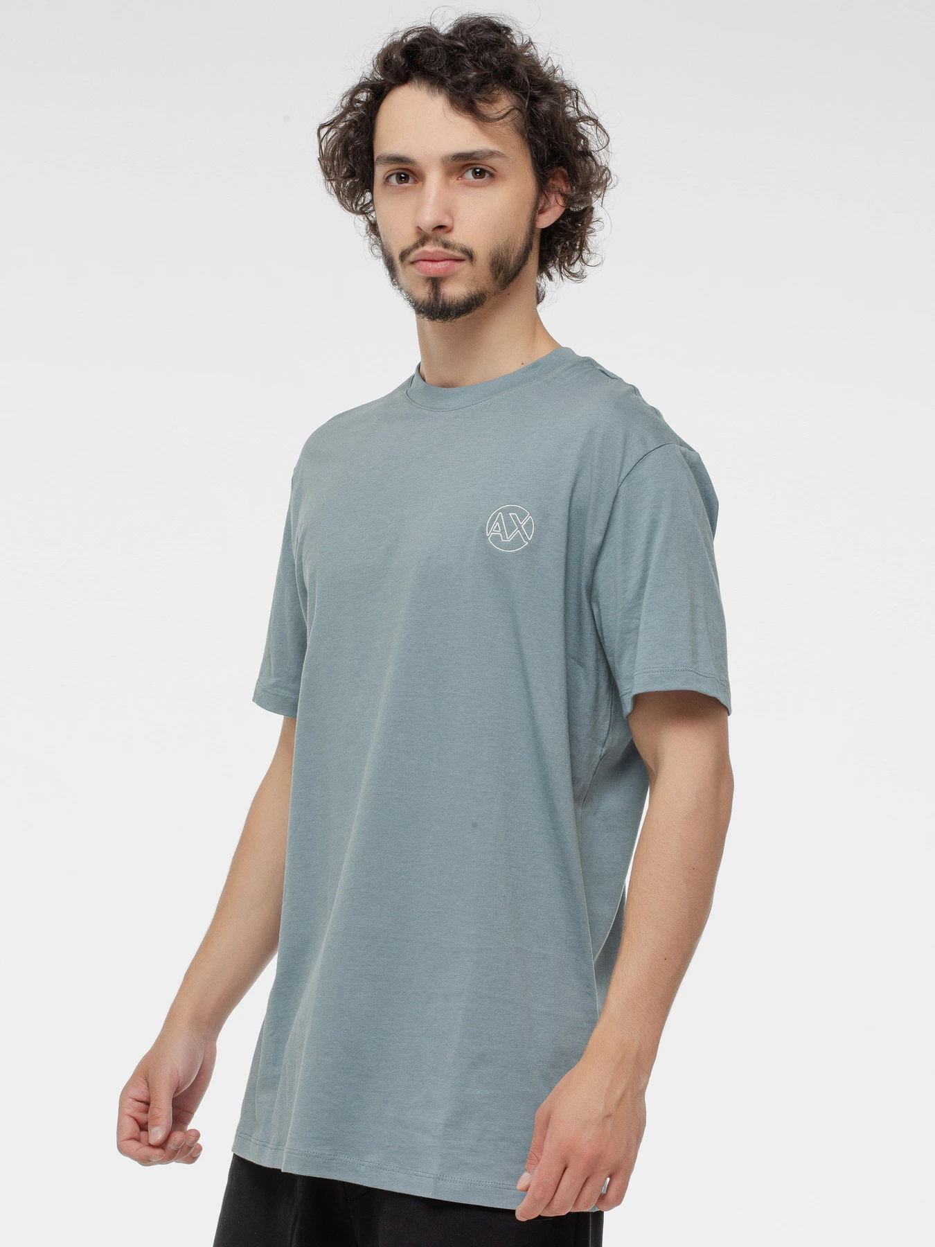 Футболки и поло Armani Exchange модель XM000558-AF10358-U9212 Футболки и поло Armani Exchange модель XM000558-AF10358-U9212 Фото