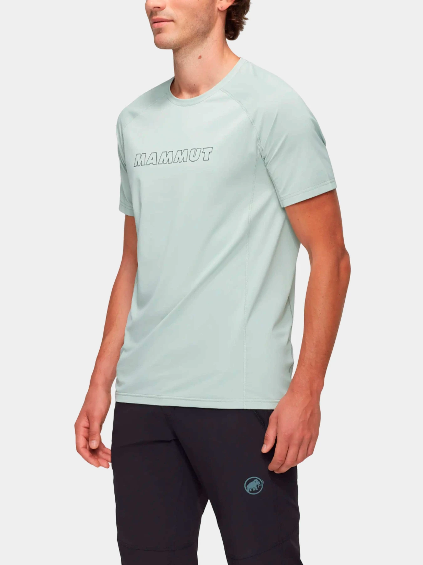 Футболки и поло Mammut модель 1017-05050-1288 Футболки и поло Mammut модель 1017-05050-1288 Фото
