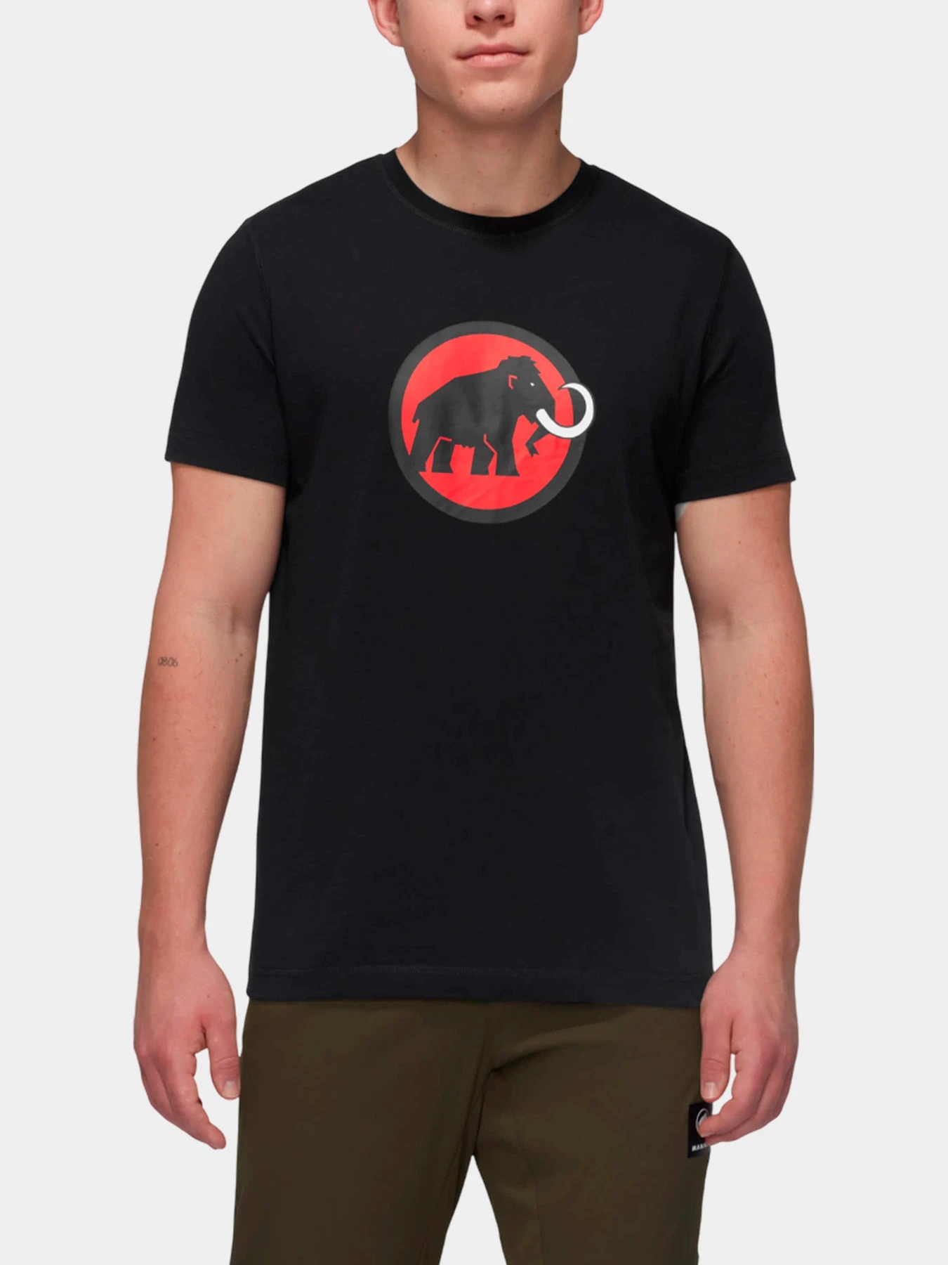 Футболки и поло Mammut модель 1017-05891-0001 Футболки и поло Mammut модель 1017-05891-0001 Фото