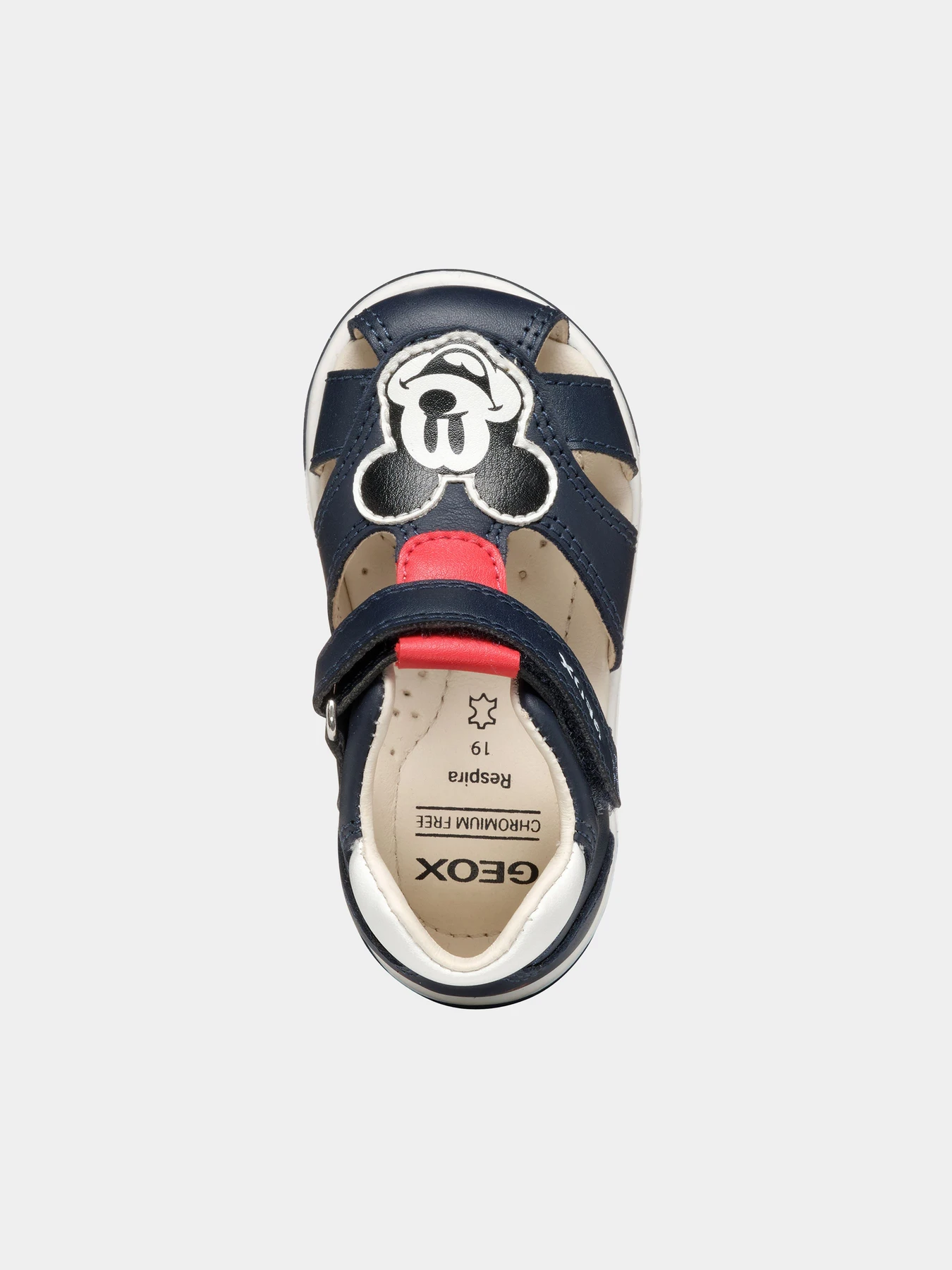 Сандалии Geox модель B556ED-08554-C0735 Сандалии Geox модель B556ED-08554-C0735 Фото