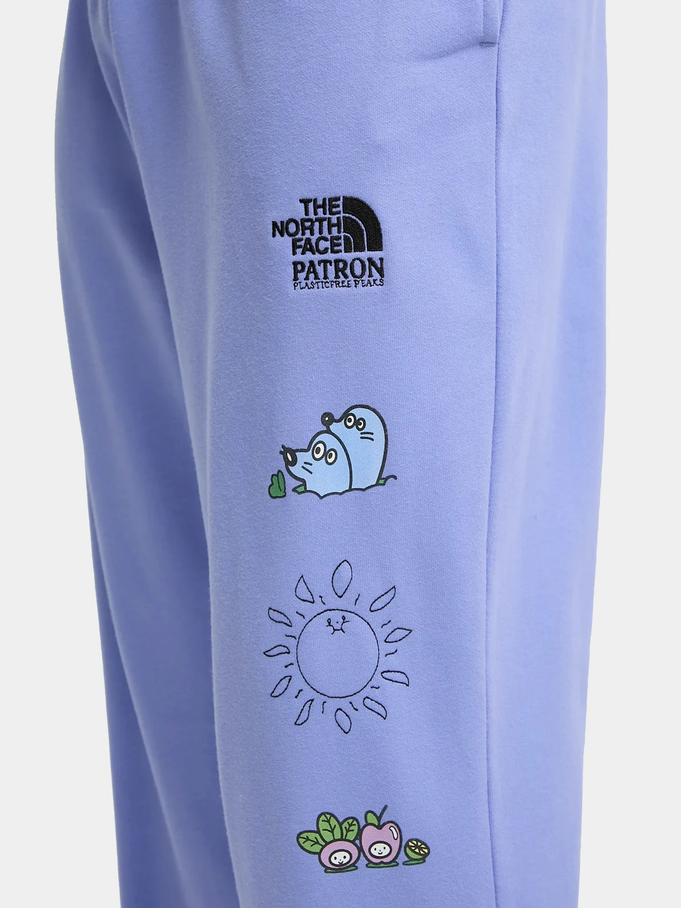 Брюки The North Face модель NF0A8C2W0YI1 Брюки The North Face модель NF0A8C2W0YI1 Фото