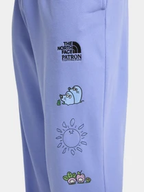 Брюки The North Face модель NF0A8C2W0YI1 Фото