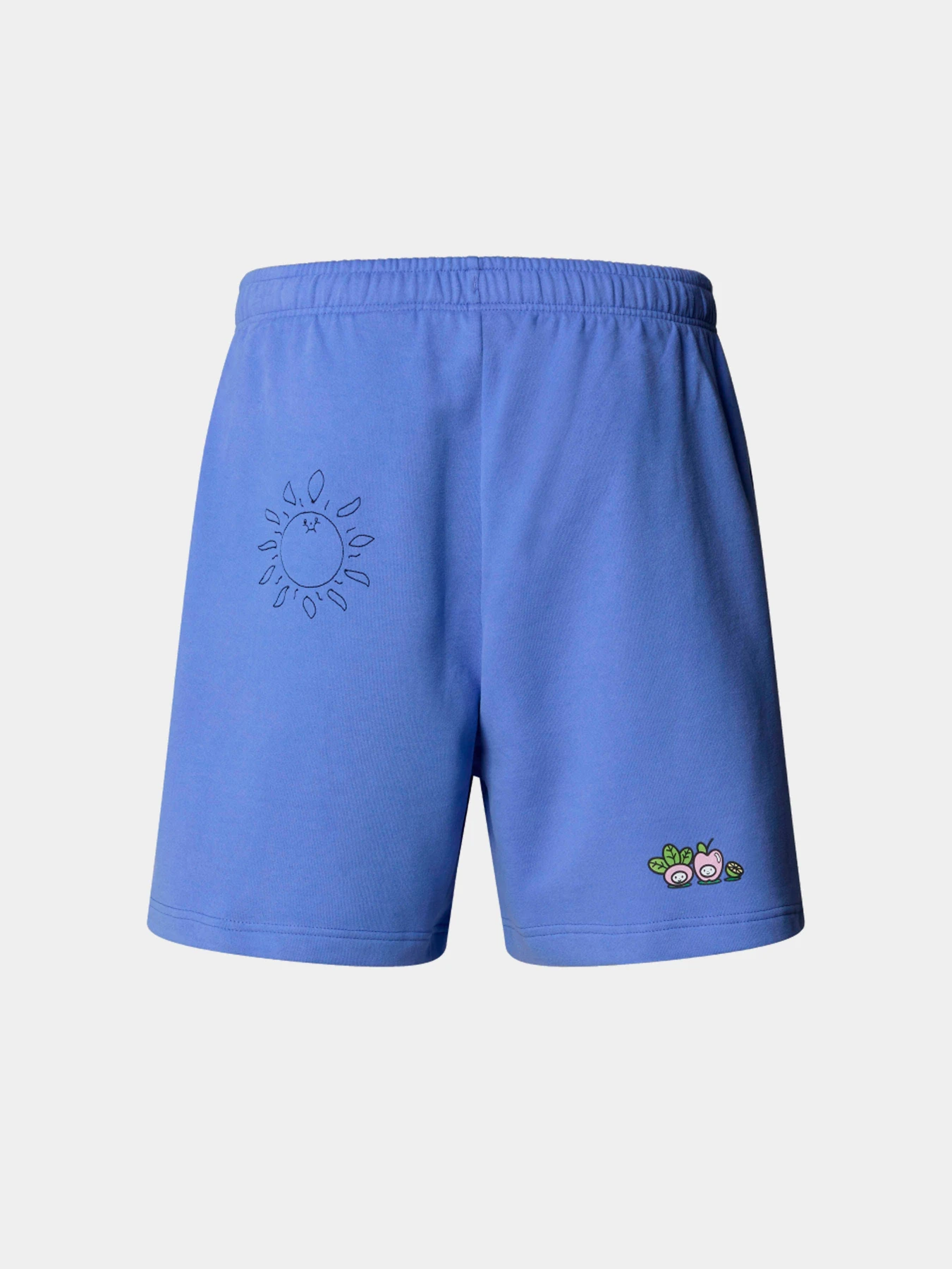 Шорты The North Face модель NF0A8C2X0YI1 Шорты The North Face модель NF0A8C2X0YI1 Фото