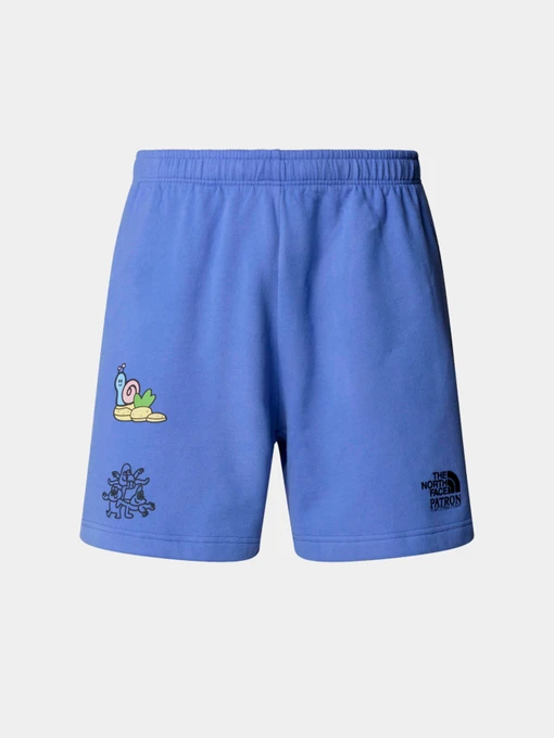 Шорты The North Face модель NF0A8C2X0YI1 Фото
