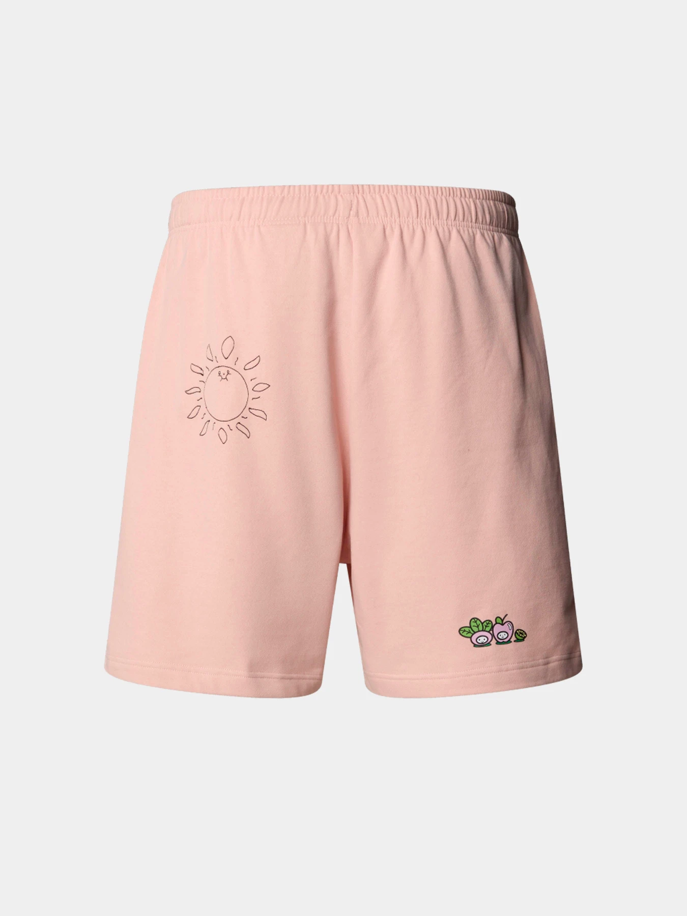 Шорты The North Face модель NF0A8C2XLK61 Шорты The North Face модель NF0A8C2XLK61 Фото