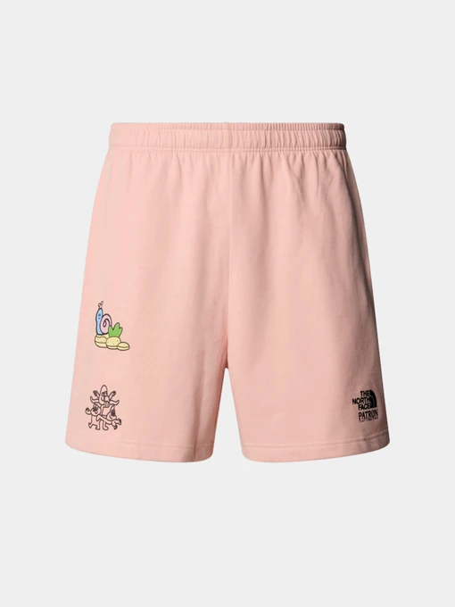 Шорты The North Face модель NF0A8C2XLK61 Фото