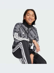 Худи и свитшоты Adidas Tiro модель KA3363-KZ Фото