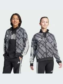 Худи и свитшоты Adidas Tiro модель KA3363-KZ Фото