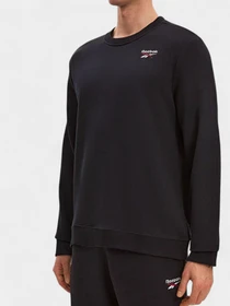Худи и свитшоты Reebok модель 102017993 Фото