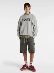 Худи и свитшоты Vans модель VN000M2102F1 Фото