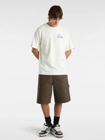 Шорты Vans модель VN000M39D4C1 Фото