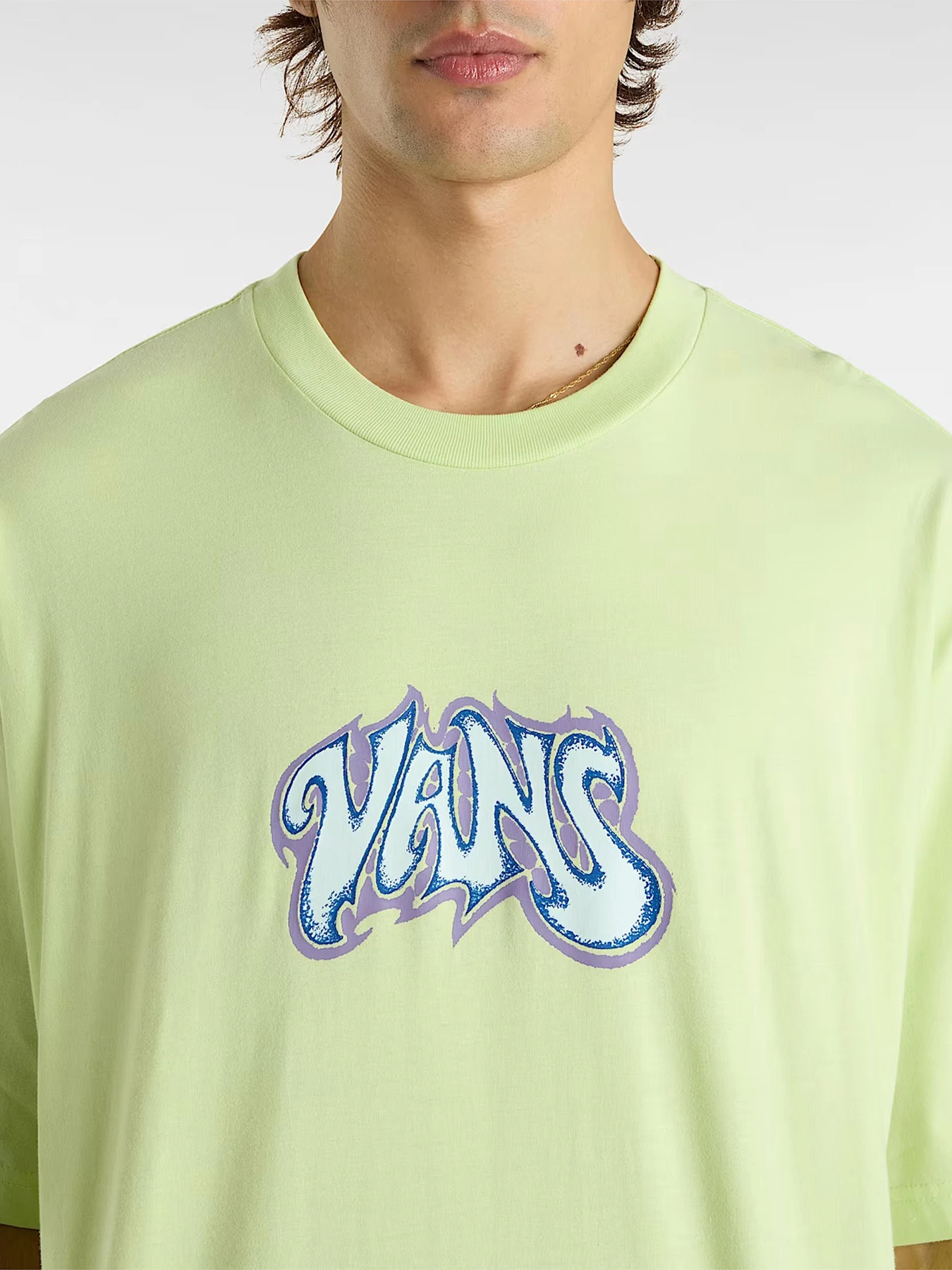 Футболки и поло Vans модель VN000M5JCLH1 Футболки и поло Vans модель VN000M5JCLH1 Фото