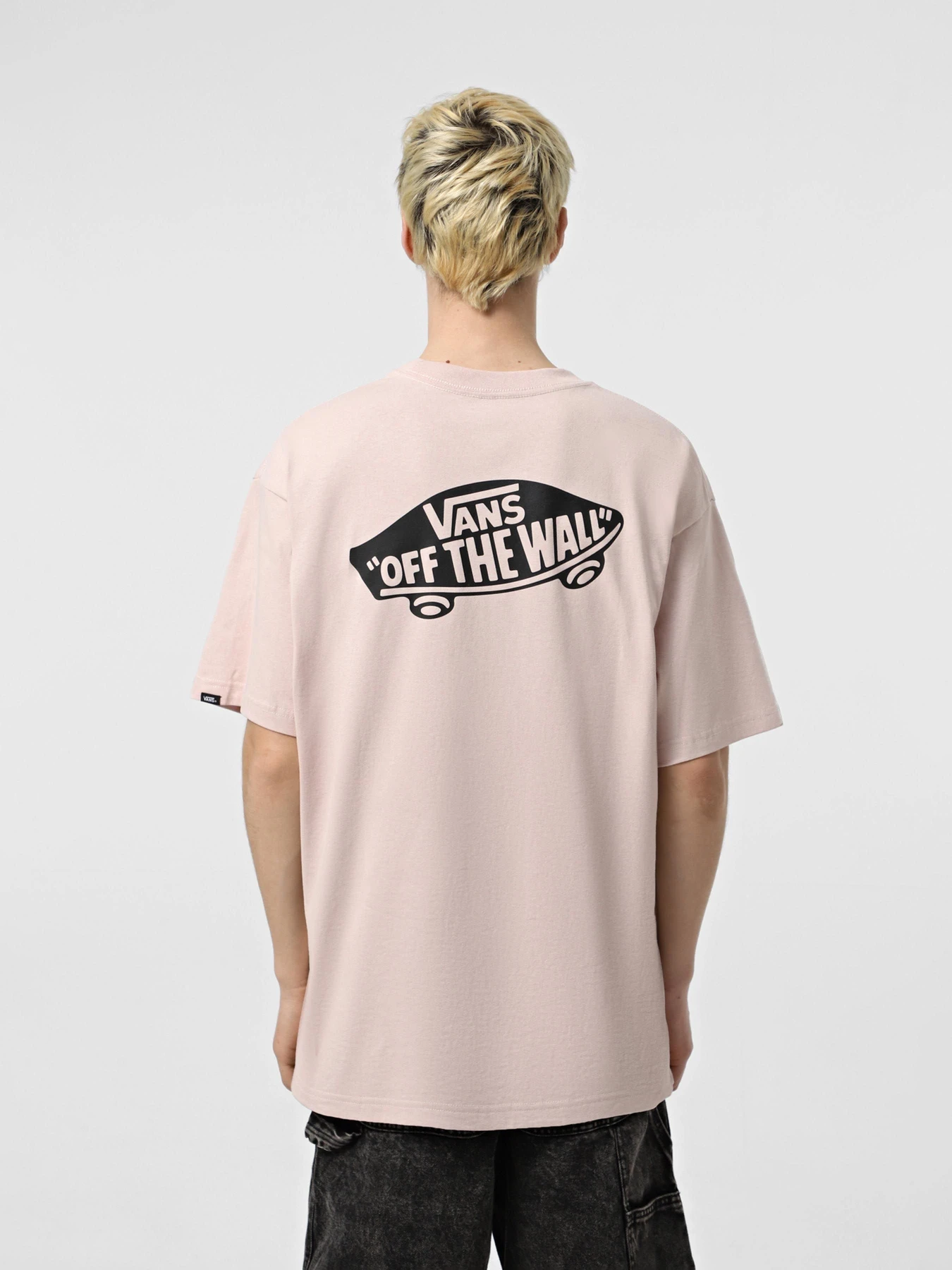 Футболки и поло Vans модель VN000P50O3N1 Футболки и поло Vans модель VN000P50O3N1 Фото