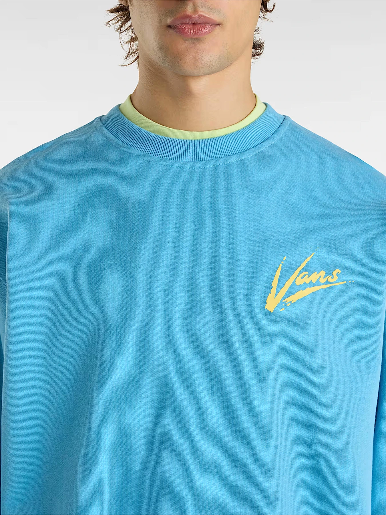 Худи и свитшоты Vans модель VN000P60E2W1 Фото