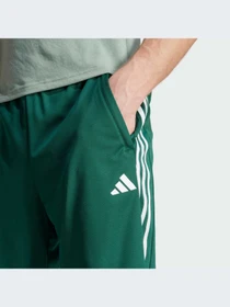 Шорты Adidas модель JC8346-KZ Фото