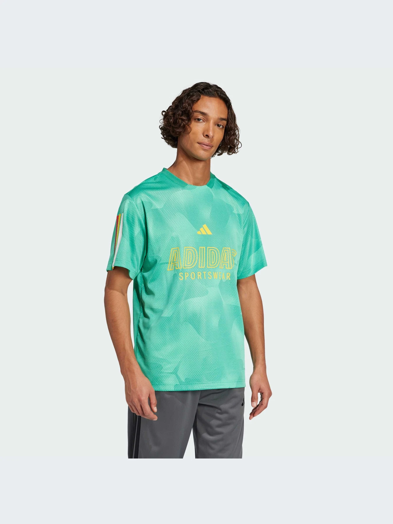 Футболки и поло Adidas Tiro модель JC8003-KZ Футболки и поло Adidas Tiro модель JC8003-KZ Фото