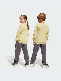 Костюмы Adidas модель JE1384-KZ Фото