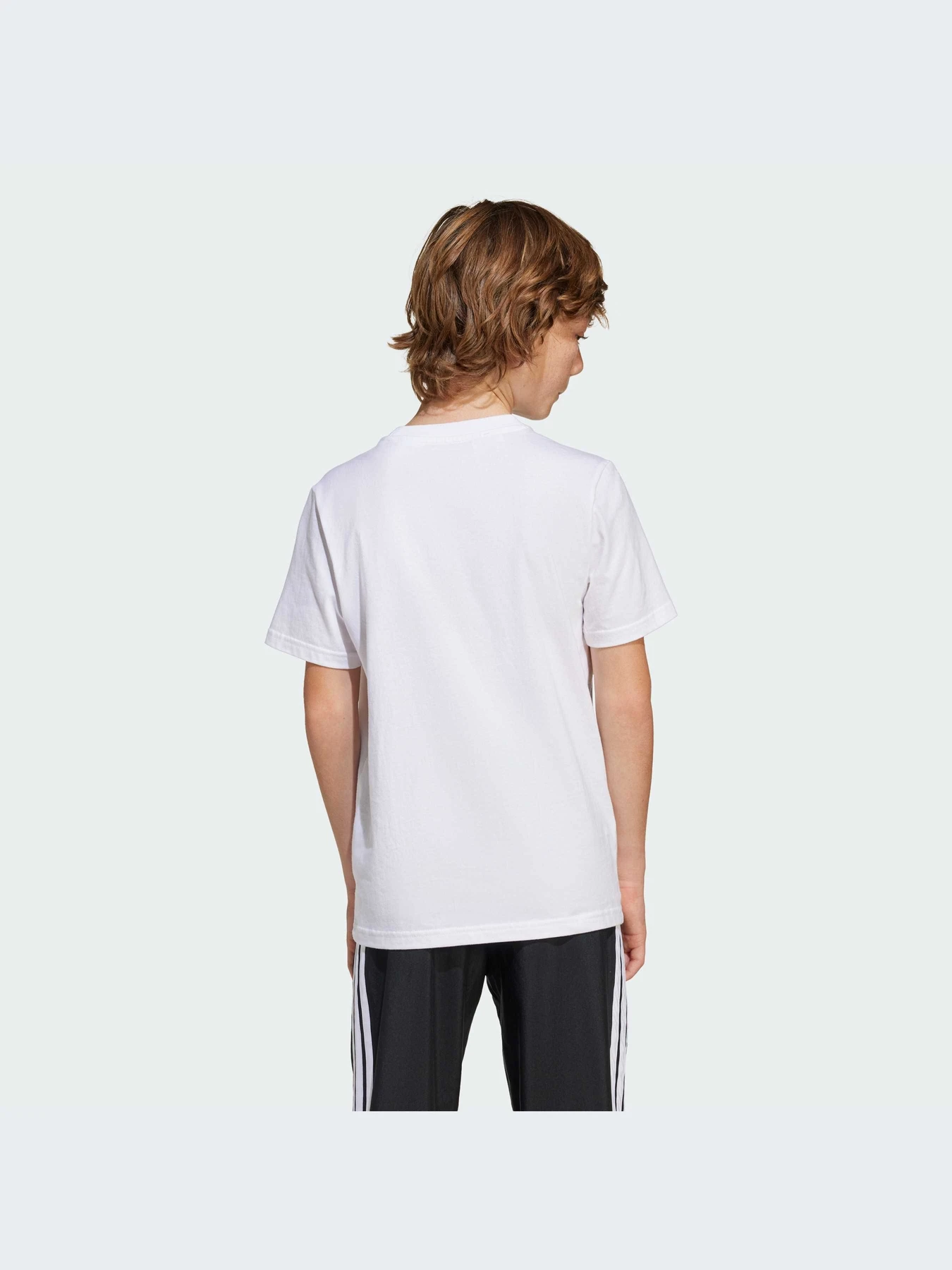 Футболки и поло Adidas модель JJ1412-KZ Футболки и поло Adidas модель JJ1412-KZ Фото