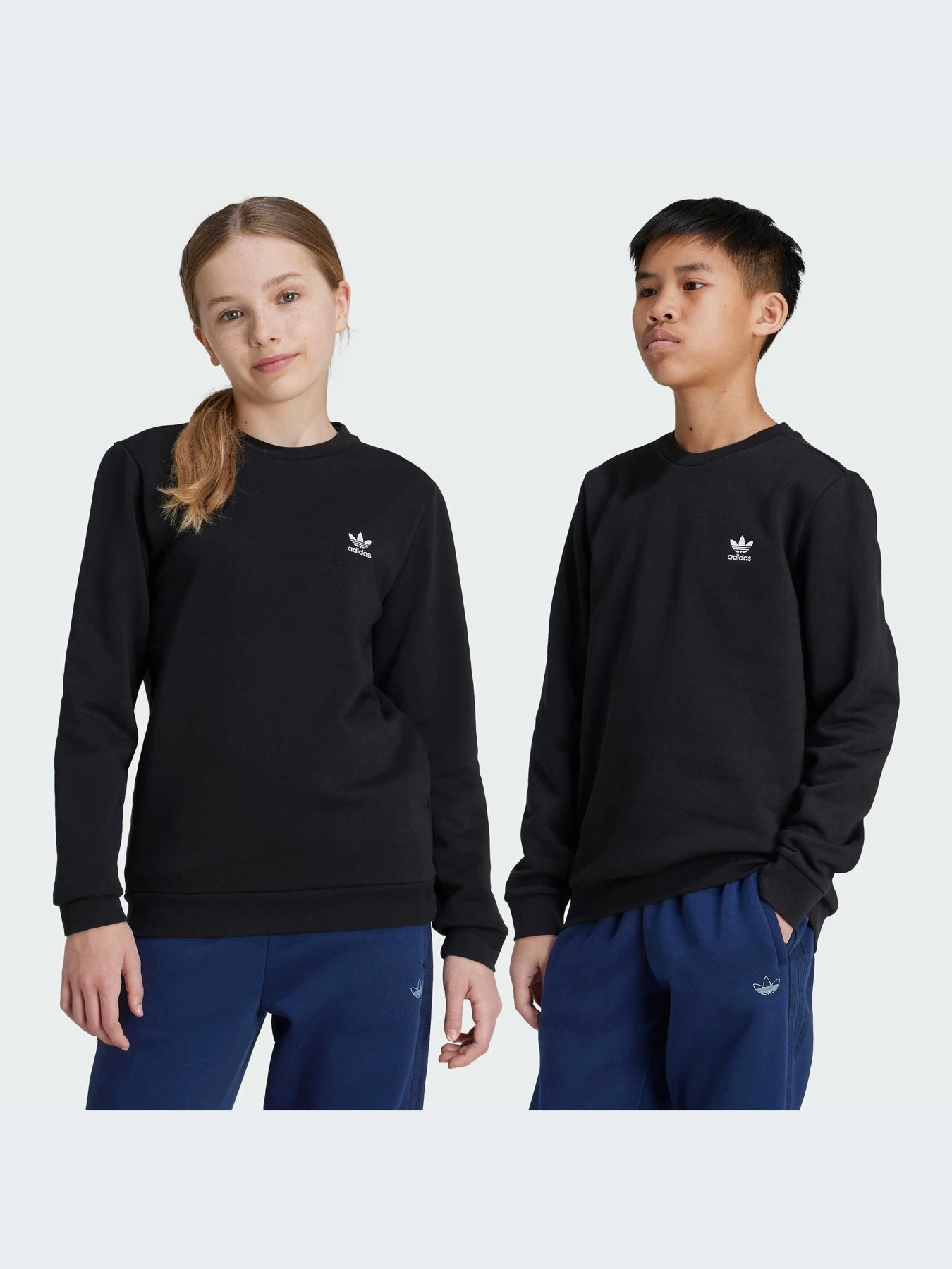 Худи и свитшоты Adidas модель IW3497-KZ Худи и свитшоты Adidas модель IW3497-KZ Фото