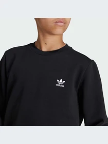 Худи и свитшоты Adidas модель IW3497-KZ Фото