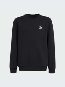 Худи и свитшоты Adidas модель IW3497-KZ Фото
