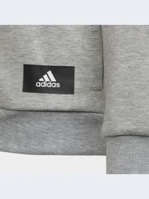 Худи и свитшоты Adidas 3 Stripes модель H44344-KZ Фото
