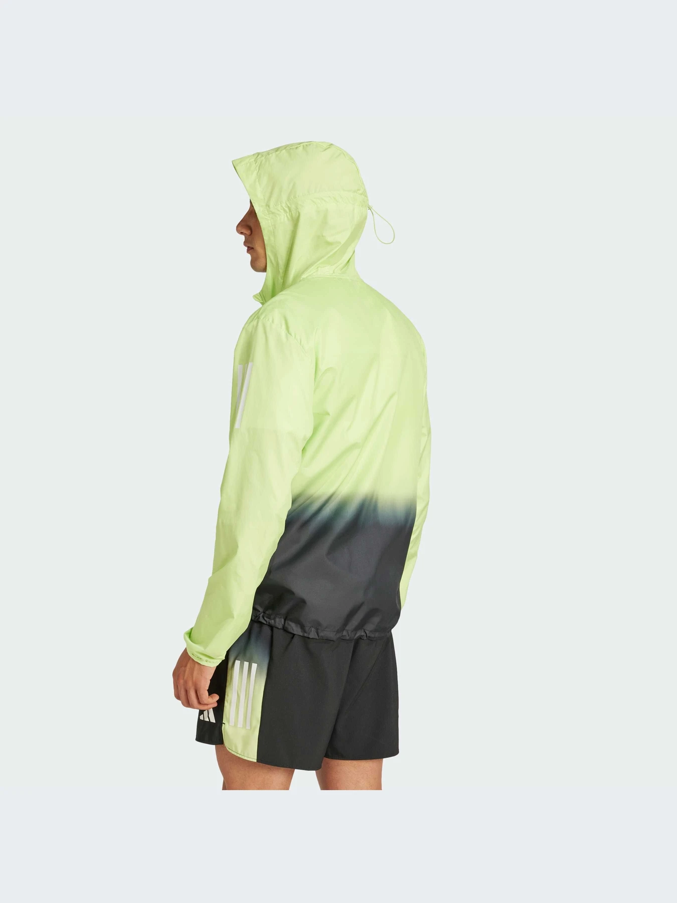 Куртки и дубленки Adidas модель JP0823-KZ Куртки и дубленки Adidas модель JP0823-KZ Фото