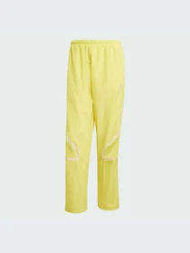 Брюки Adidas Adicolor модель JP1133-KZ Фото