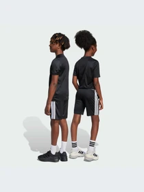 Костюмы Adidas Clima модель JJ1029-KZ Фото