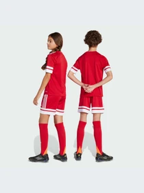 Шорты Adidas модель JJ2416-KZ Фото