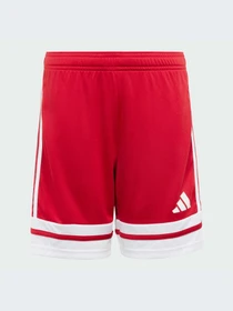 Шорты Adidas модель JJ2416-KZ Фото