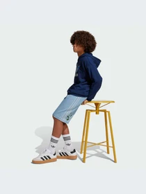 Шорты Adidas модель JZ9938-KZ Фото